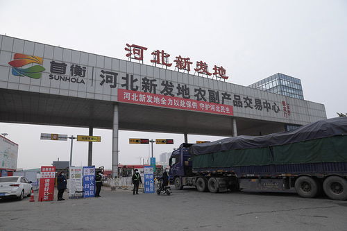 神州答卷 三件大事 帶動河北高質量發(fā)展