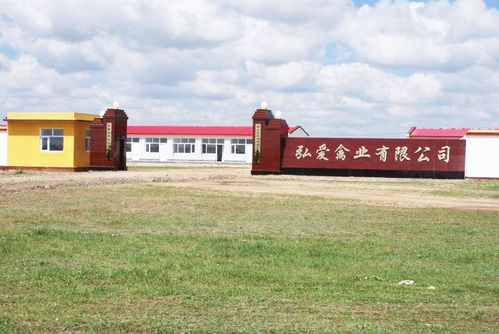 弘愛集團 造血式扶貧與安全生態有機農產品的創新之路