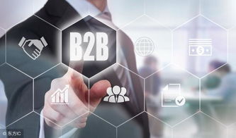 企業(yè)開(kāi)展B2B電子商務(wù)的關(guān)鍵細(xì)節(jié)把握